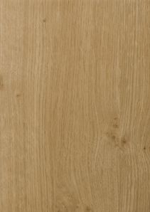 RENOLIT EXOFOL MX IRISH OAK 